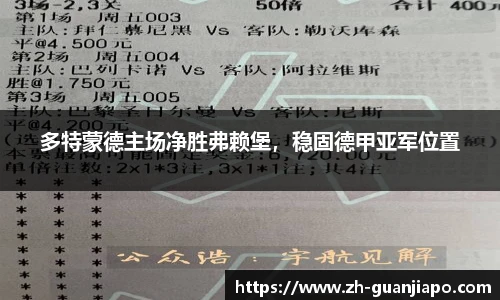 多特蒙德主场净胜弗赖堡，稳固德甲亚军位置